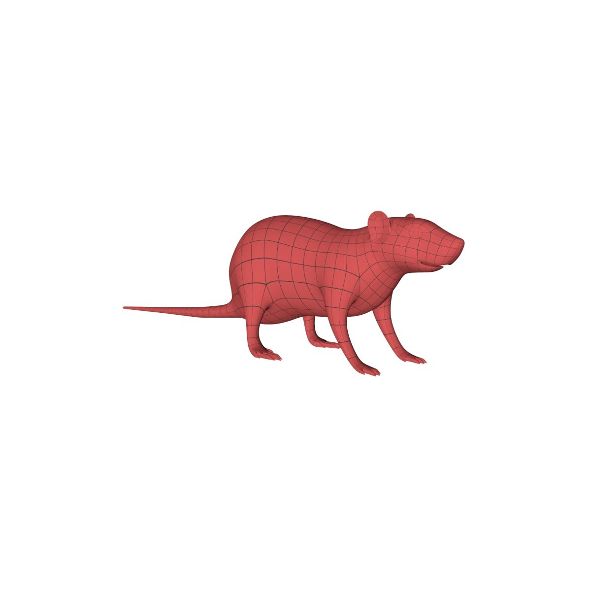 Rat Mouse base mesh royalty-free 3d model - Preview no. 2