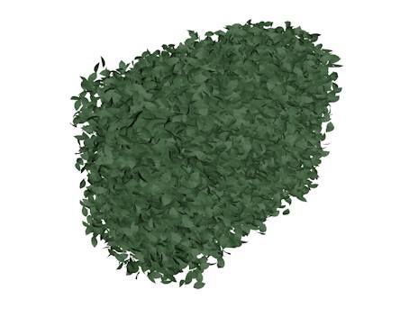 Shrub Bush 3d model