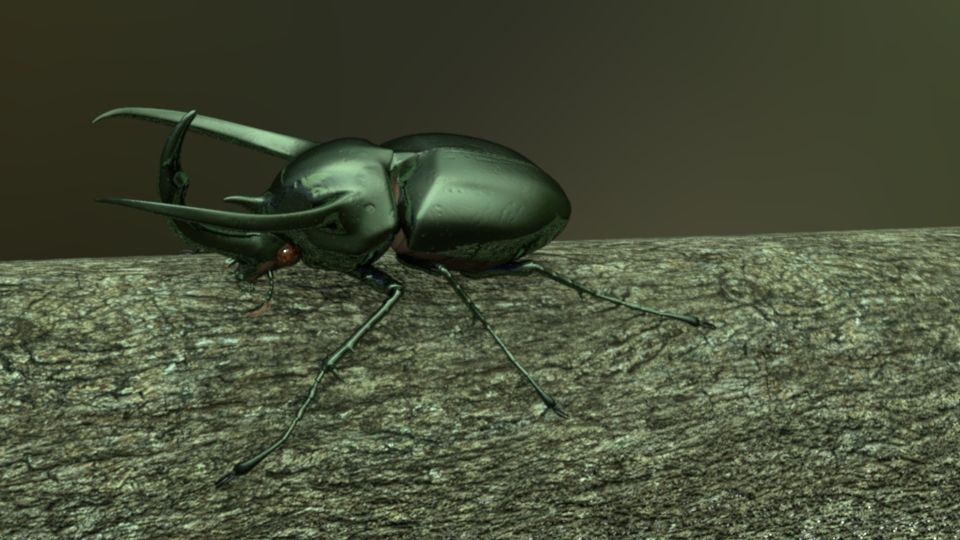 Chalcosoma Atlas beetle Textured  (no rigging) 3d model