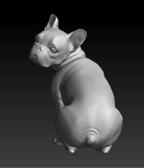 french bulldog1 3d model