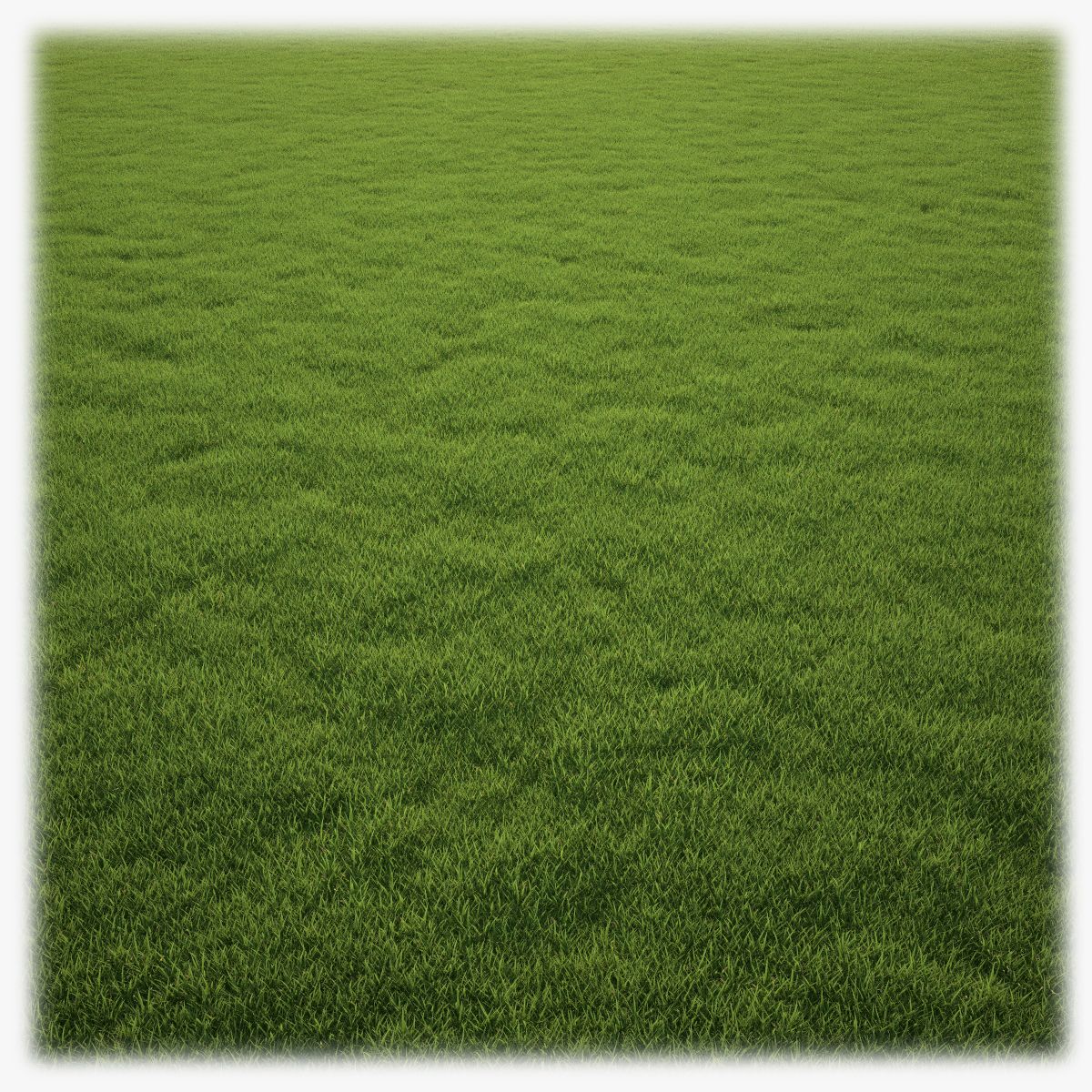 Grass Clump 3d model