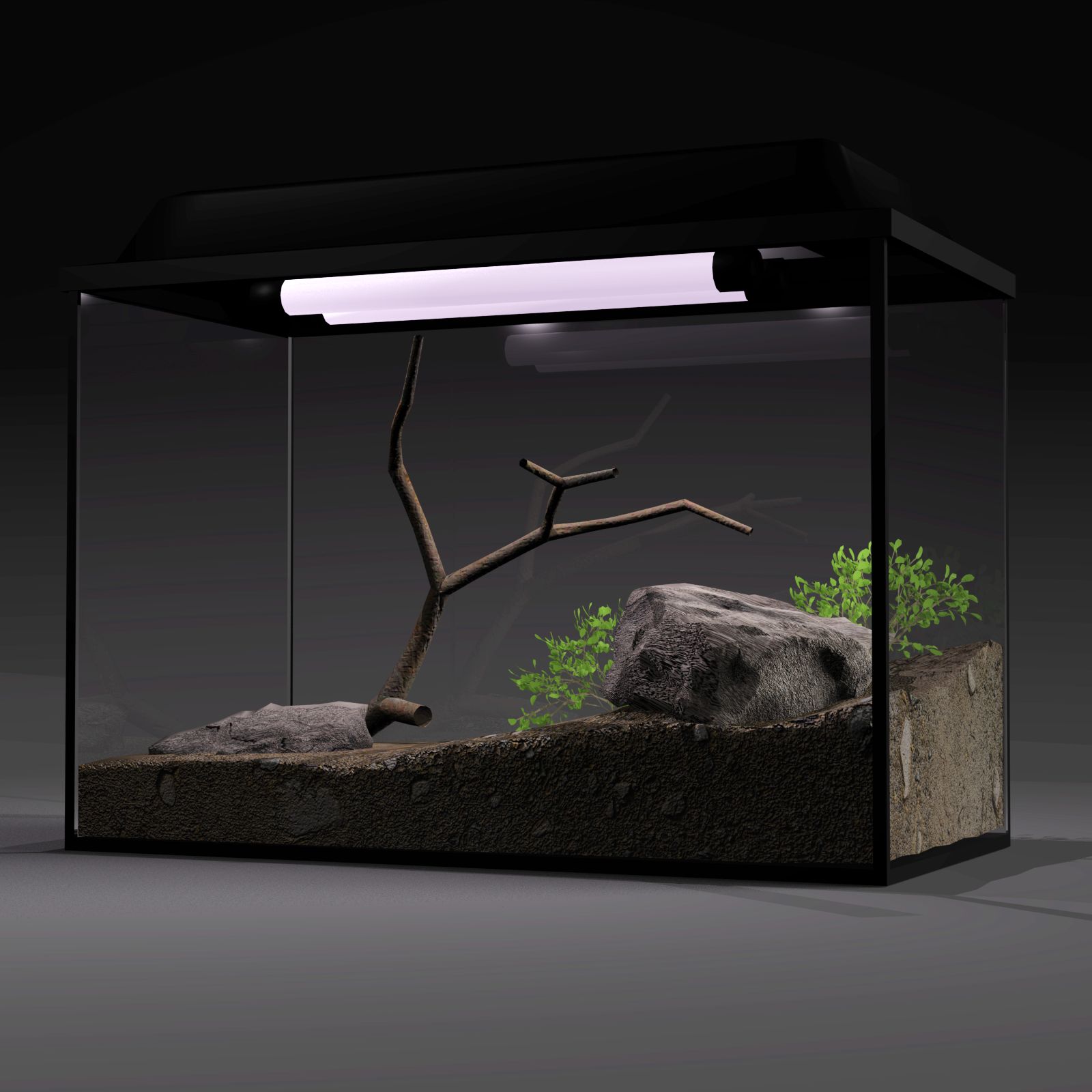 Aquarium 3d model