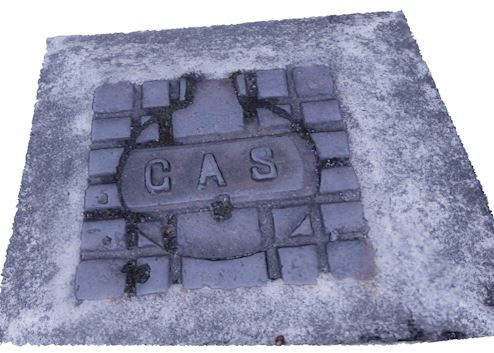 Street Gas Cover Schachtabdeckung 3d model