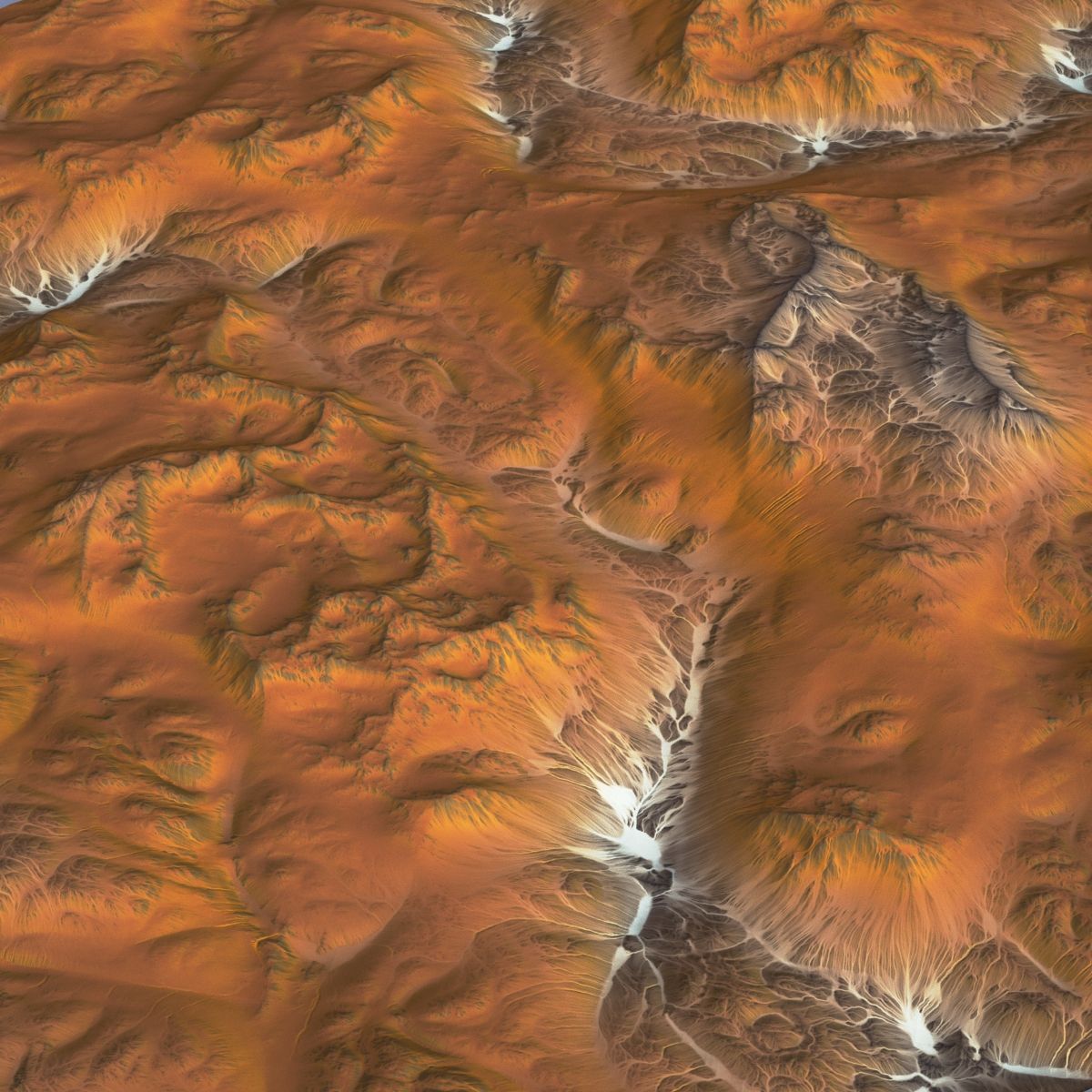 Landscape 126 3d model