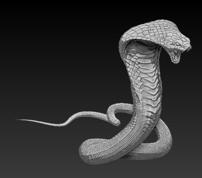 Cobra high poly 3d model