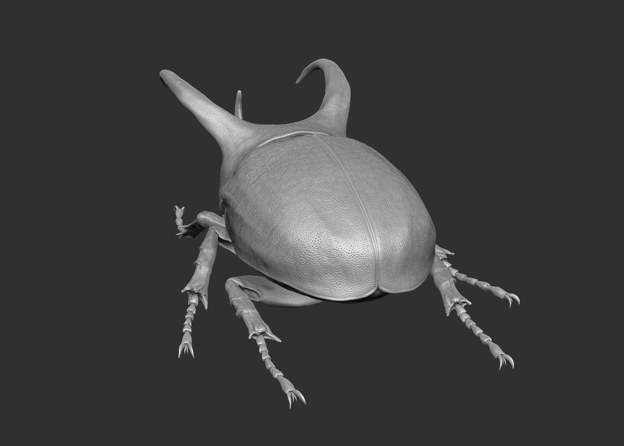 Atlas beetle royalty-free 3d model - Preview no. 7