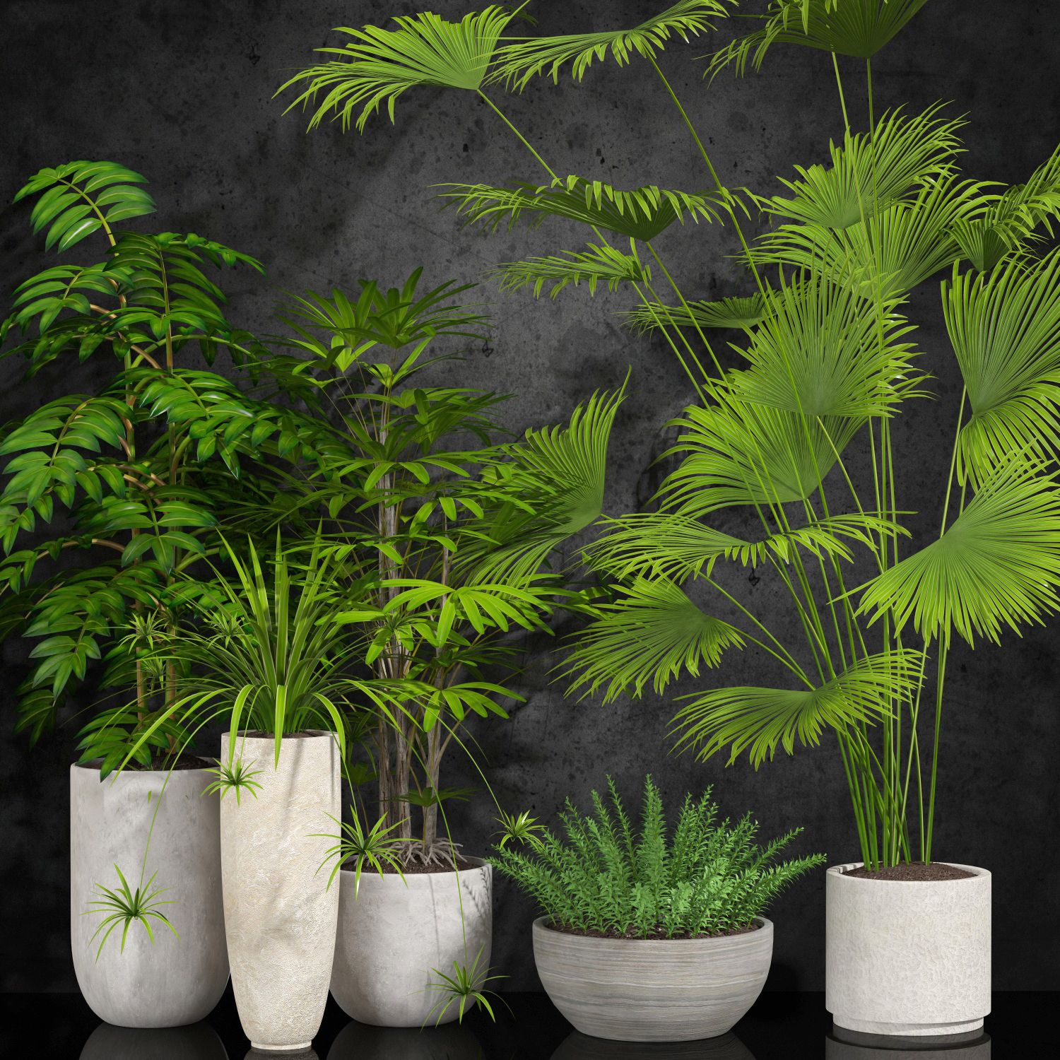 room plants 3d model