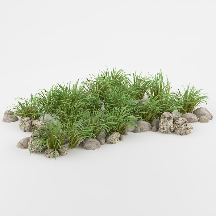 Bush_54 3d model