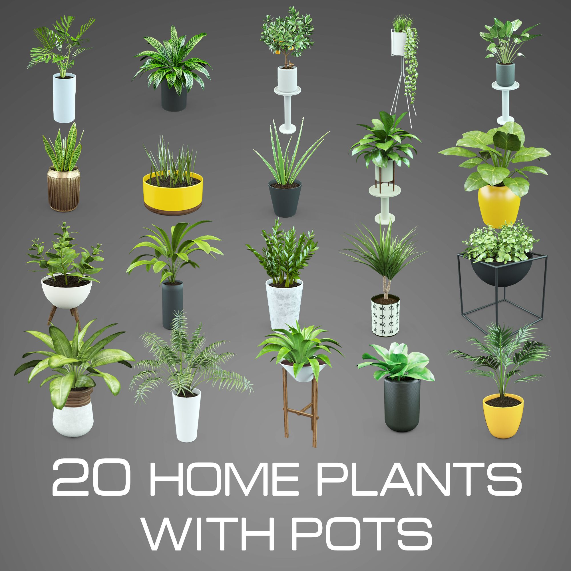 Set Home Plant 3d model