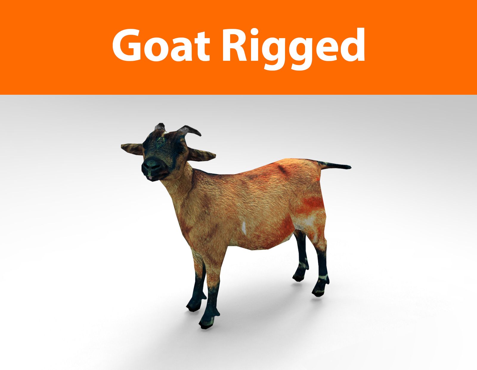 goat rigged(1) 3d model