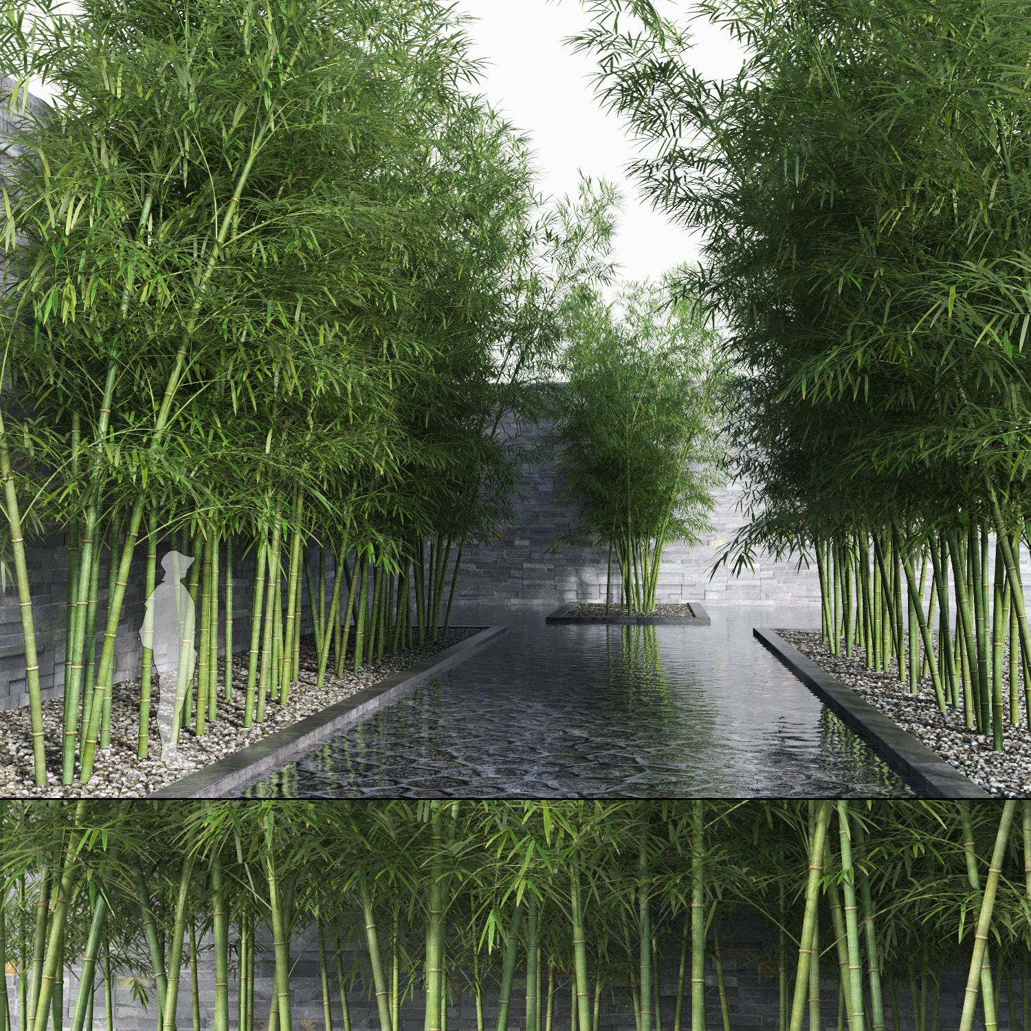 Bamboo Trees 3 (+GrowFX) 3d model