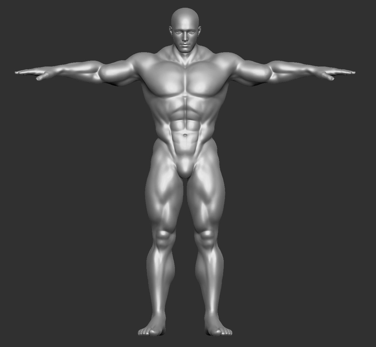 Männliche Vorlage Muscle Man Superhero Buff 3d model