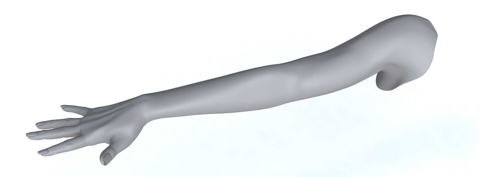 Arm richtig 3d model