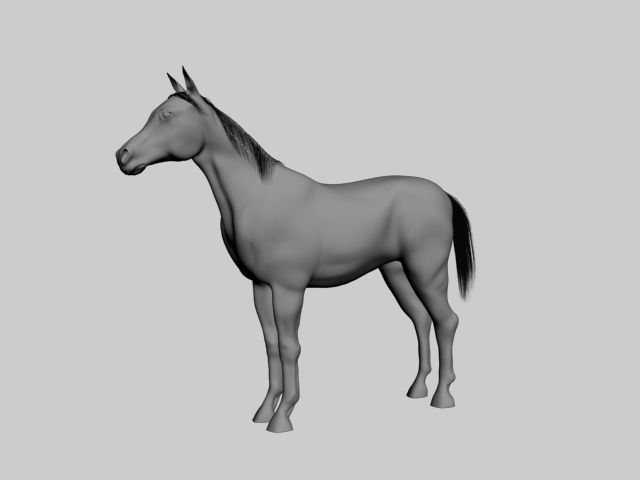 Cavallo 3d model