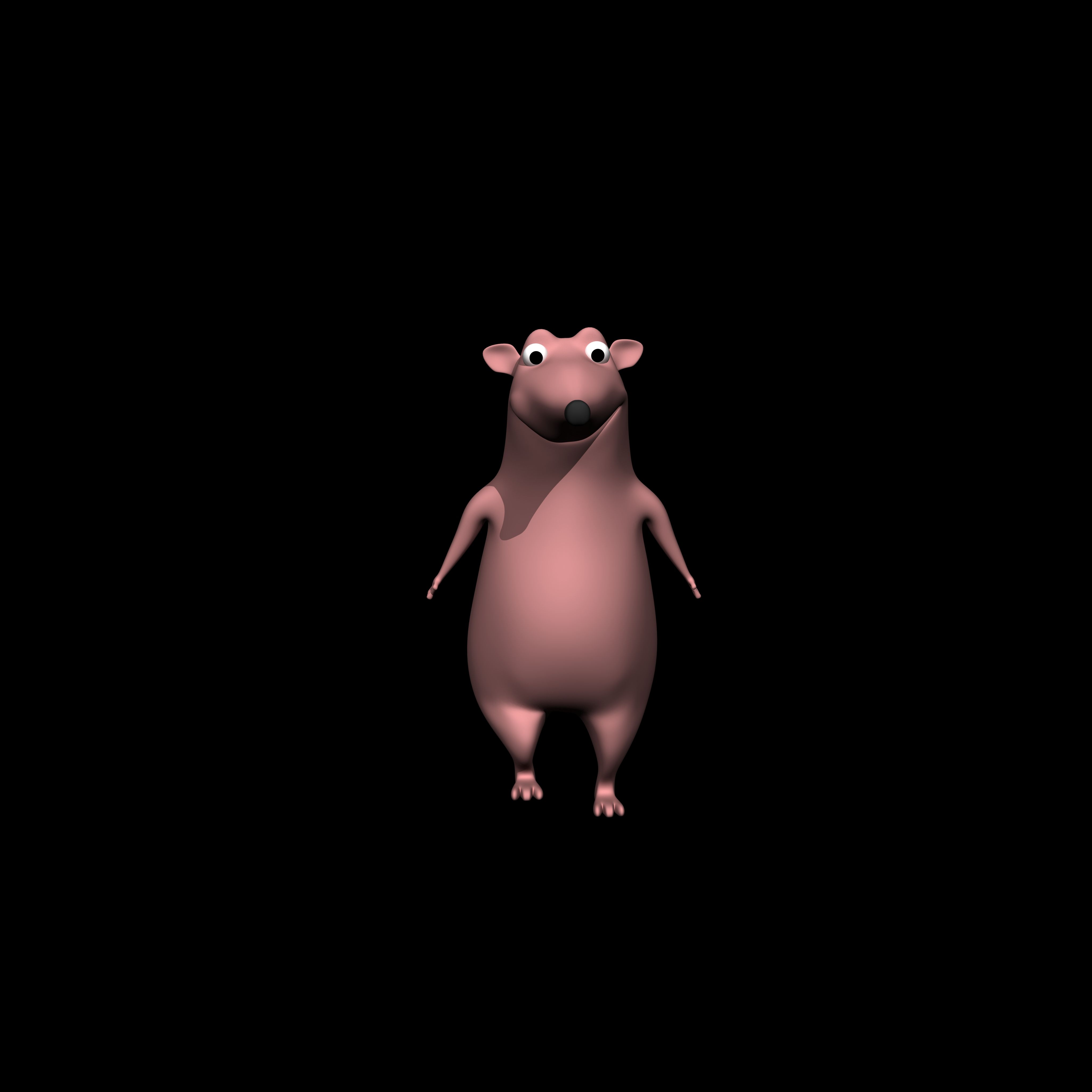 rat 3d model