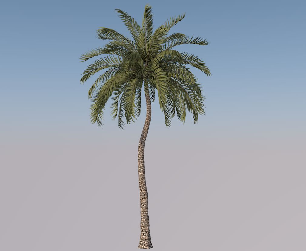 Strand-Palme-Baum-Modell 3d model