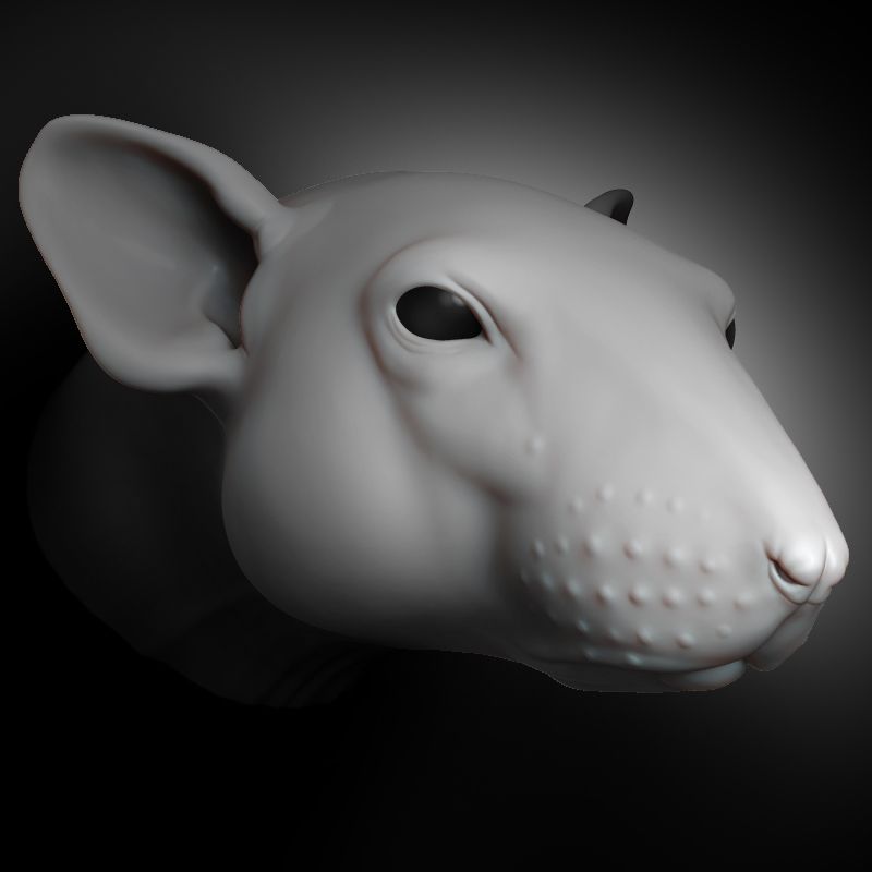 Rat Head 3d model