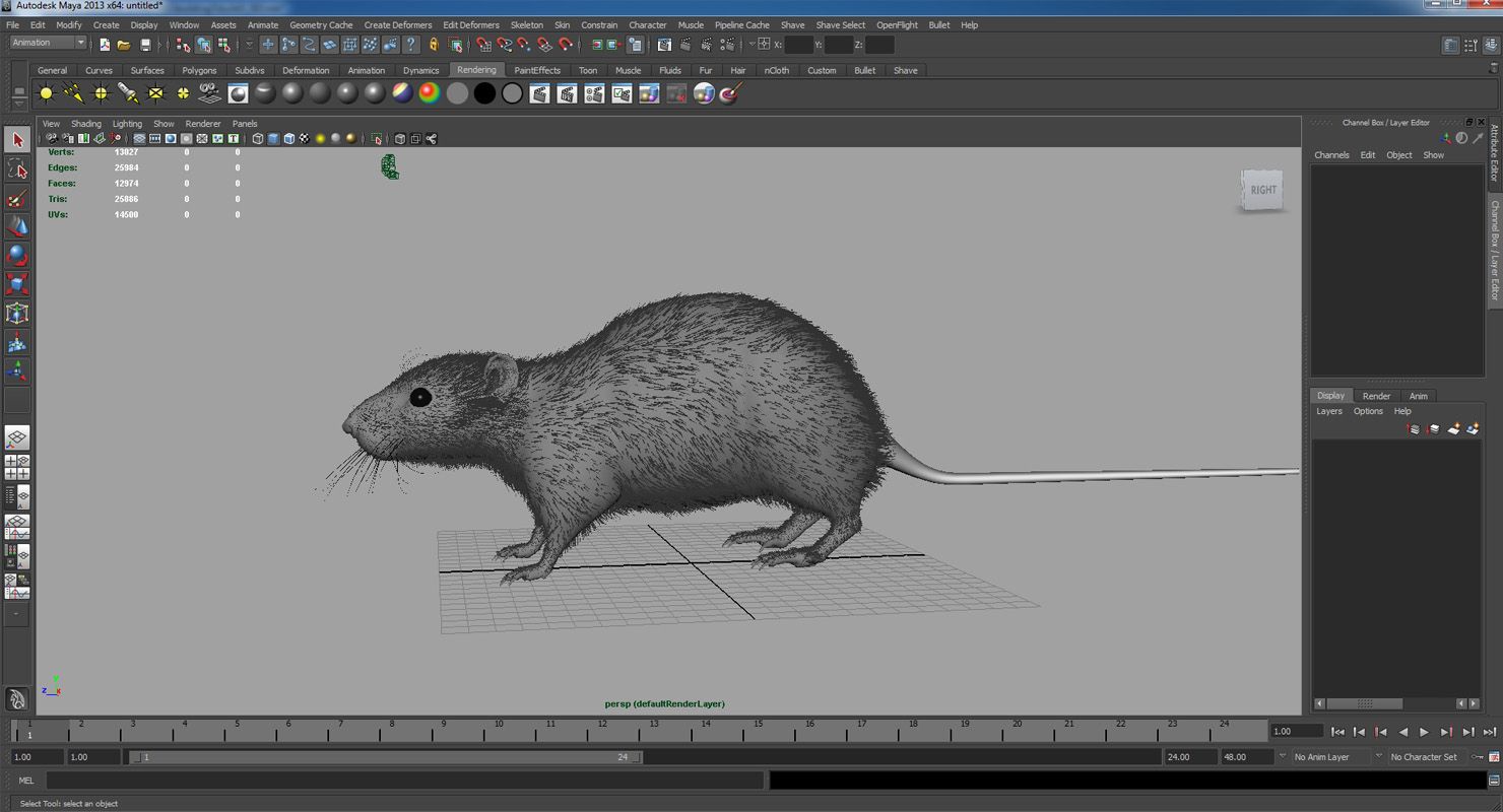 rat royalty-free 3d model - Preview no. 8