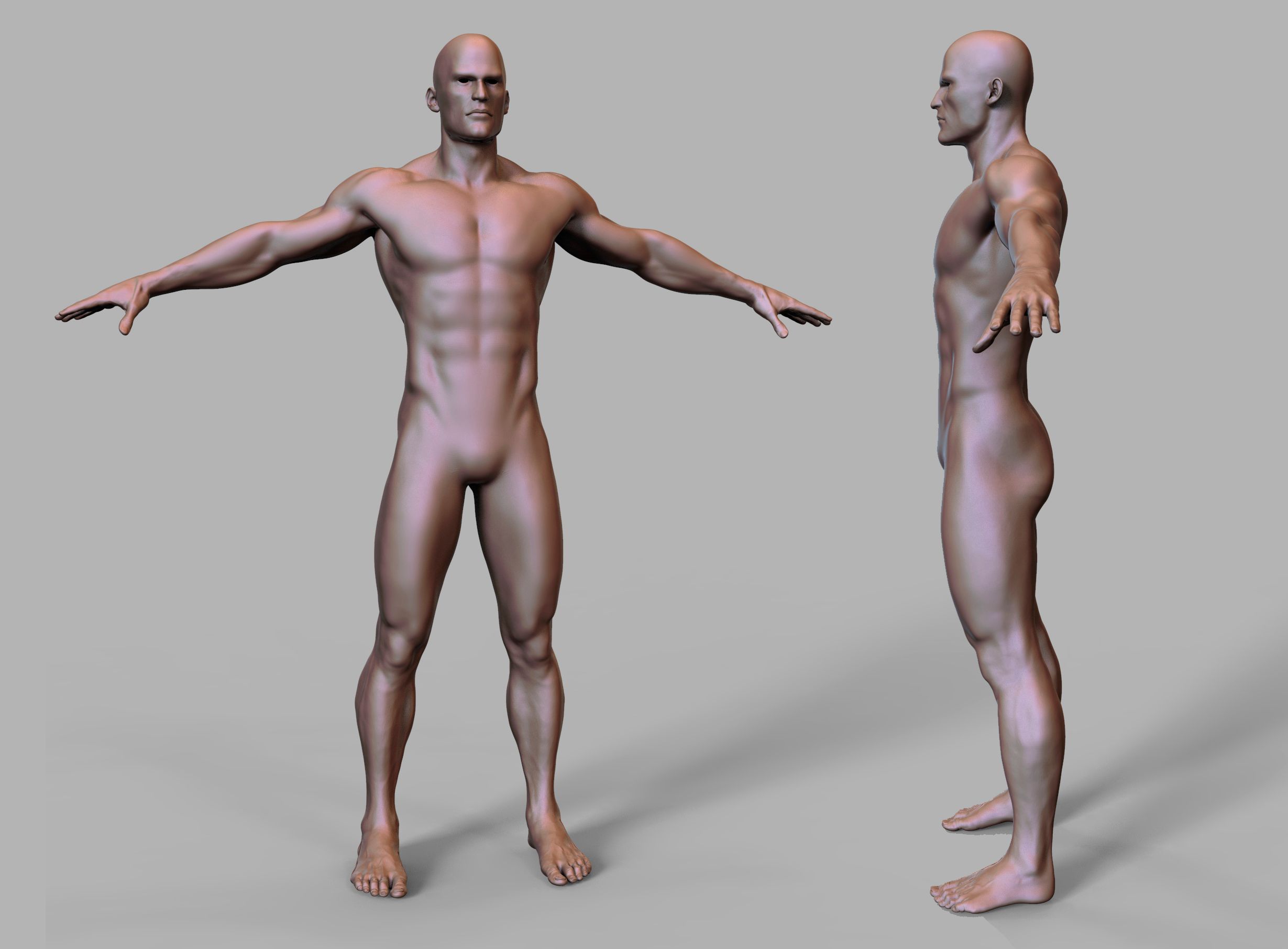 Base mesh 3d model