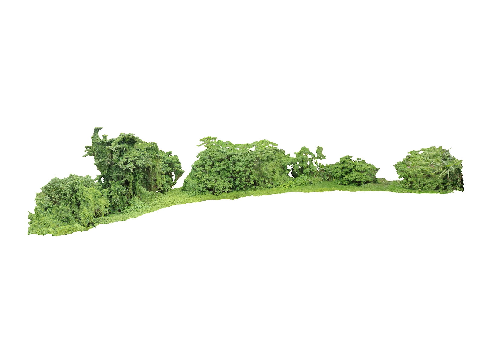 Forest Jungle Background 3D Model $79 - .max .obj - Free3D