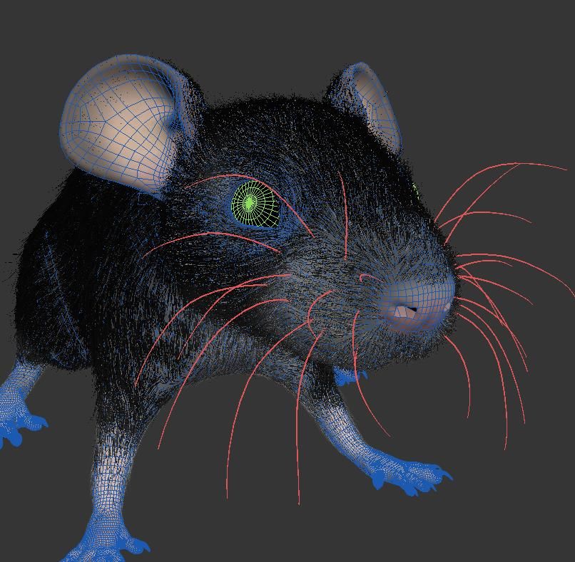 Animal Rat Mouse royalty-free 3d model - Preview no. 10