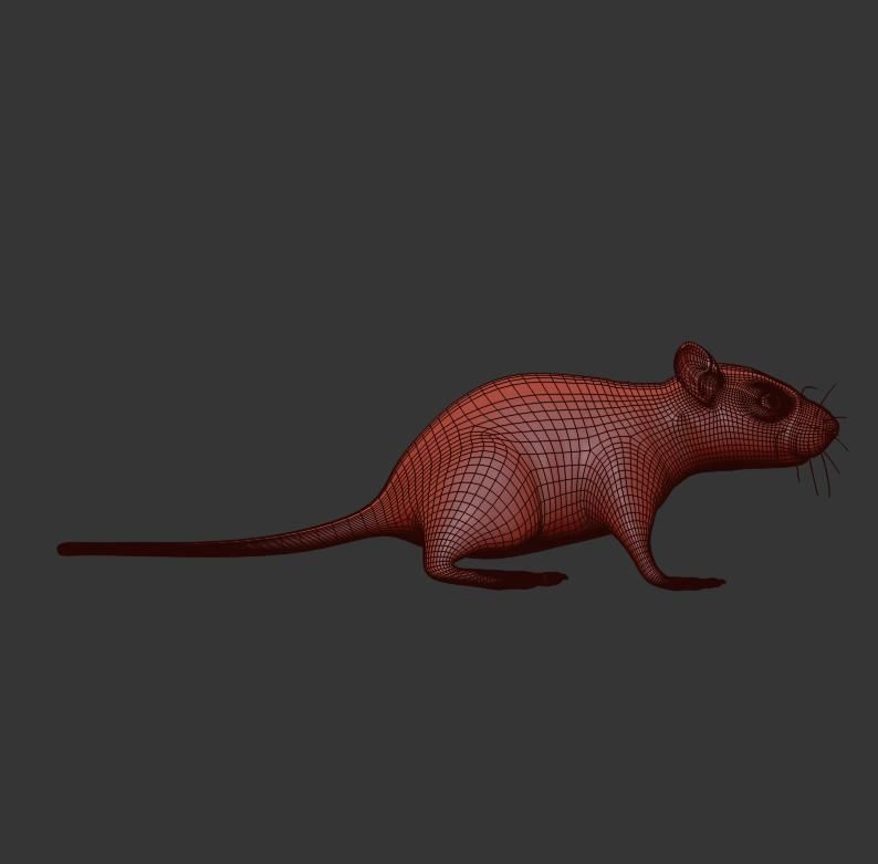 Animal Rat Mouse royalty-free 3d model - Preview no. 13