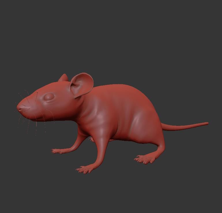 Animal Rat Mouse royalty-free 3d model - Preview no. 18