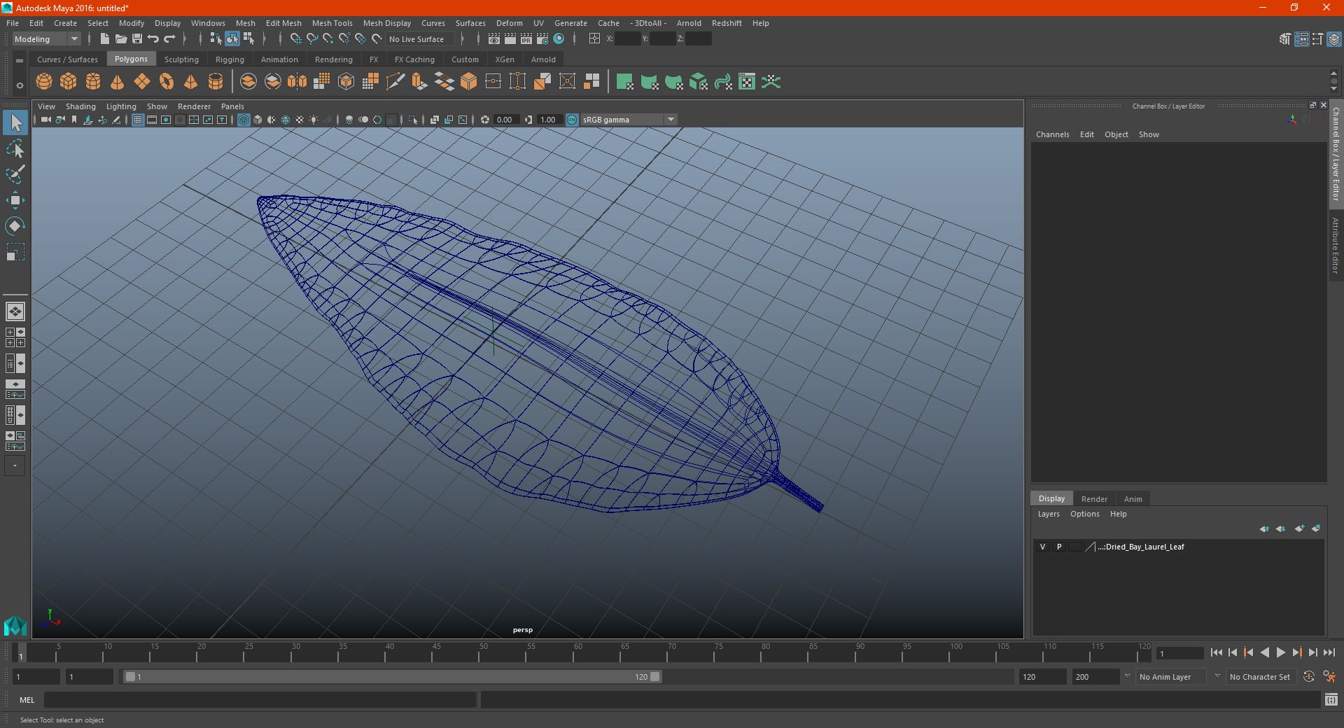 Getrocknetes Lorbeerblatt royalty-free 3d model - Preview no. 18