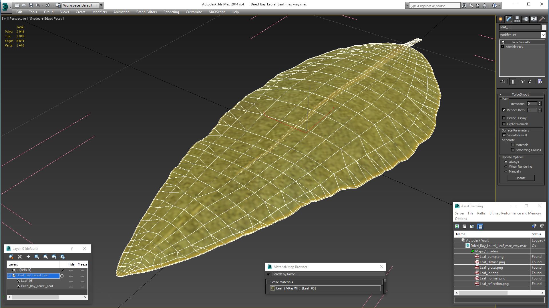 Getrocknetes Lorbeerblatt royalty-free 3d model - Preview no. 16