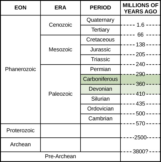 This chart shows a geological time scale, starting with the Pre-Archean eon about 3800 million years ago, and ending with the Quaternary period in the Cenozoic era in the Phanerozoic eon about 1.6 million years ago. The Devonian period and Carboniferous period are both in the Paleozoic era. The Devonian period began 410 million years ago and ended 360 million years ago. The Carboniferous period was from 360 million years ago to 290 million years ago.