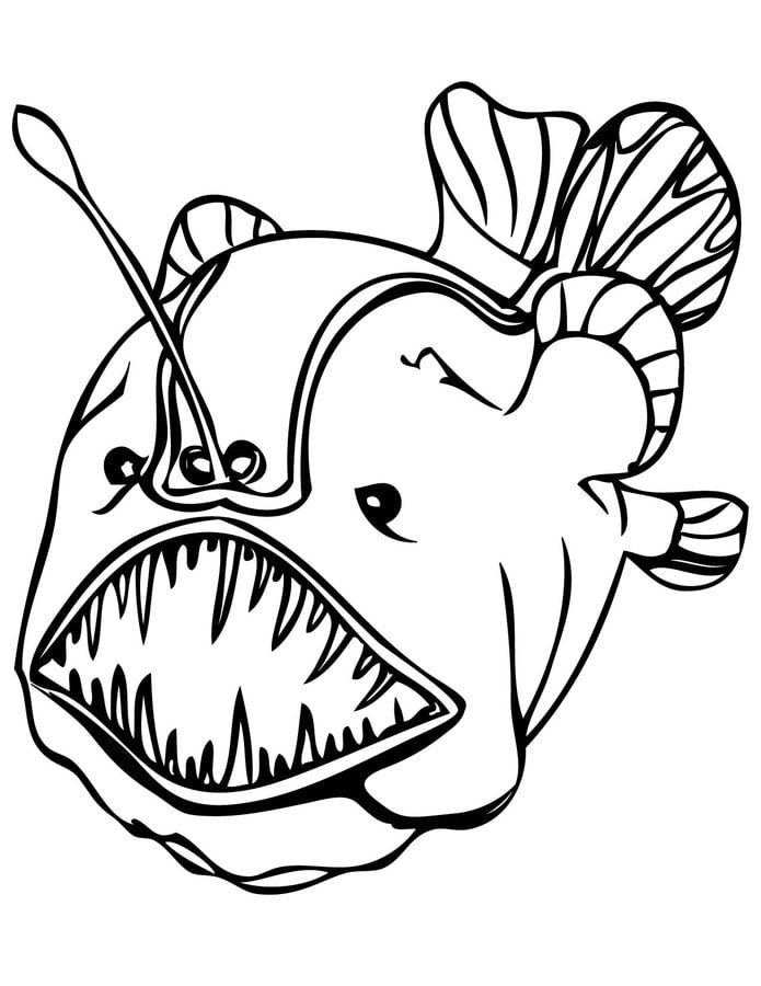 free coloring pages of ocean fish