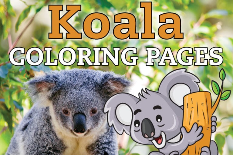 free zoo animal coloring pages for kids