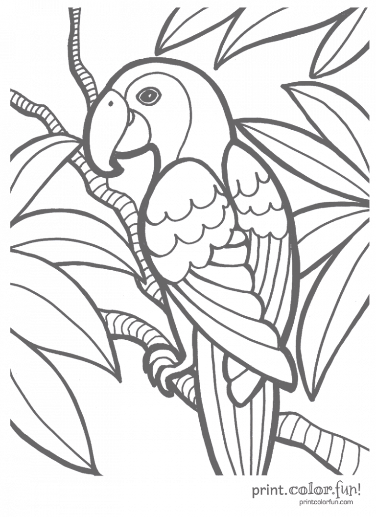 free zoo animal coloring pages for kids