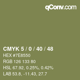 Color code: CMYK 5 / 0 / 40 / 48 | qconv.com