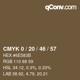 Color code: CMYK 0 / 20 / 46 / 57 | qconv.com