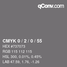 Code couleur: CMYK 0 / 2 / 0 / 55 | qconv.com