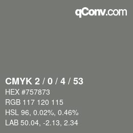 Code couleur: CMYK 2 / 0 / 4 / 53 | qconv.com