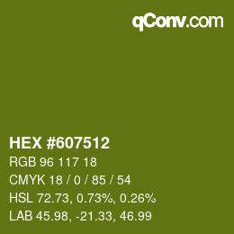 Código de color: HEX #607512 | qconv.com