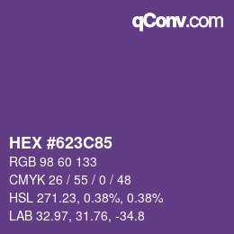 Code couleur: HEX #623C85 | qconv.com