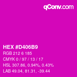 Color code: HEX #D406B9 | qconv.com