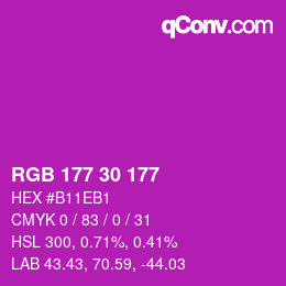 Código de color: RGB 177 30 177 | qconv.com