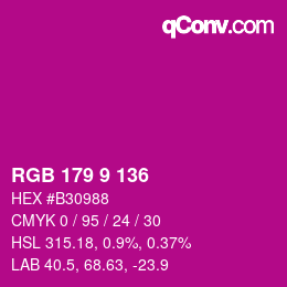 Color code: RGB 179 9 136 | qconv.com