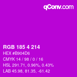 Código de color: RGB 185 4 214 | qconv.com