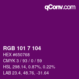 Color code: RGB 101 7 104 | qconv.com