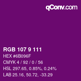 Color code: RGB 107 9 111 | qconv.com