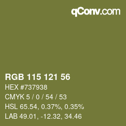 Color code: RGB 115 121 56 | qconv.com