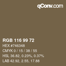 Código de color: RGB 116 99 72 | qconv.com