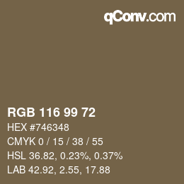 Código de color: RGB 116 99 72 | qconv.com