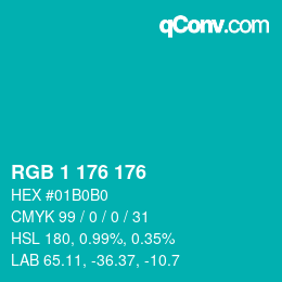 Color code: RGB 1 176 176 | qconv.com