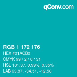 Color code: RGB 1 172 176 | qconv.com